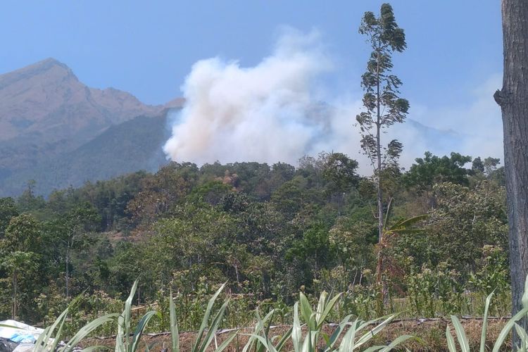 Lereng Gunung Merbabu di Desa Tajuk Kecamatan Getasan Kabupaten Semarang terbakar, Jumat (27/10/2023)