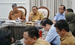 Dukung Swasembada Pangan Nasional, Pemprov Riau Rancang Program Optimalisasi Produksi Padi
