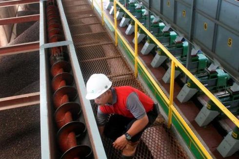 RNI Mulai Bangun Pabrik Pengolahan Kelapa Sawit Senilai Rp 100 Miliar di Sumsel