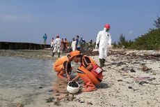 18.250 Kilogram Limbah Minyak Mentah Terkumpul di Pulau Untung Jawa