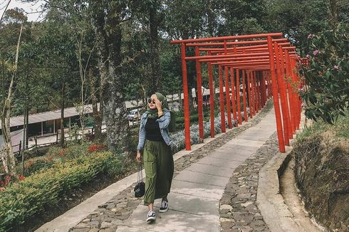 Sakura Hills Tawangmangu, Ada Spot Instagramable ala Jepang