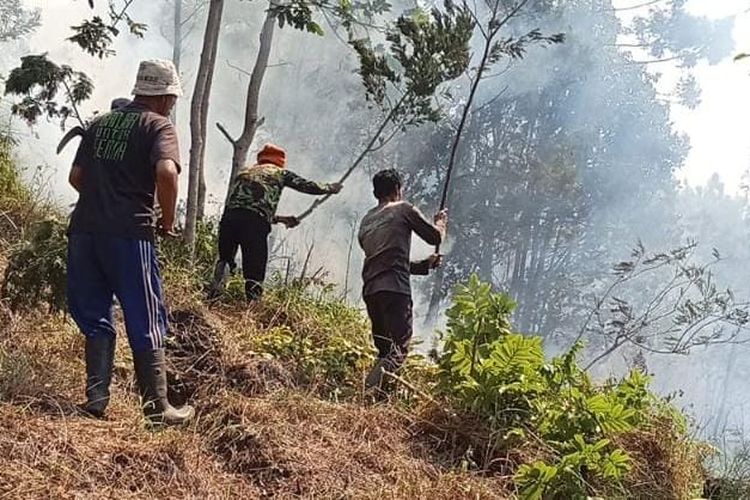 Warga Desa Jatiarjo yang berada di kawasan Tahura Raden Soerjo Gunung Arjuno berhasil memadamkan api seluas 5 hektare, Rabu (23/07/2025). 