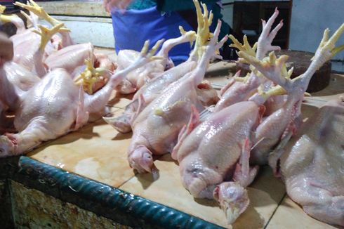 Peternak Besar Didorong untuk Garap Pasar Ekspor Ayam Olahan