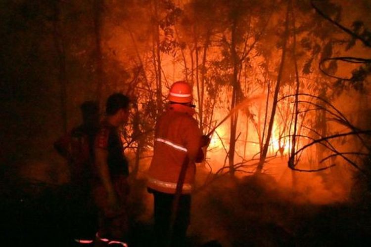 Sejumlah petugas pemadam kebakaran berupaya meredakan api yang melalap kawasan di Pekanbaru, Riau, Jumat (13/9/2019). 