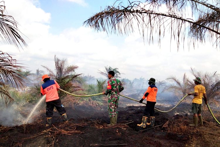 Petugas gabungan berjibaku memadamkan api karhutla di Desa Pauh, Kecamatan Bonai Darussalam, Kabupaten Rokan Hulu, Riau, Rabu (9/8/2023).