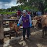 Suspek PMK di Gunungkidul Capai 65 ekor, Peternak Diminta Mandi Sebelum Masuk Kandang
