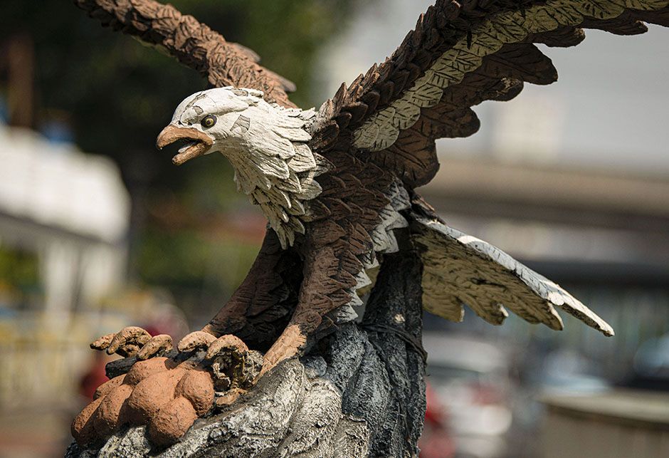 Senja Kala Maskot Jakarta: Saat Elang Bondol dan Salak Condet Kian Hilang Tergerus Zaman