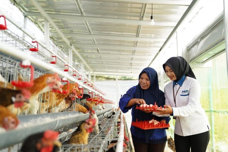Program Rumah Pangan PNM sukses membantu 1.264 warga memenuhi kebutuhan gizi keluarga melalui budi daya pangan lokal yang produktif. Selain mencukupi nutrisi harian, program ini juga meningkatkan kemandirian ekonomi nasabah melalui pemanfaatan hasil panen yang bernilai jual. 