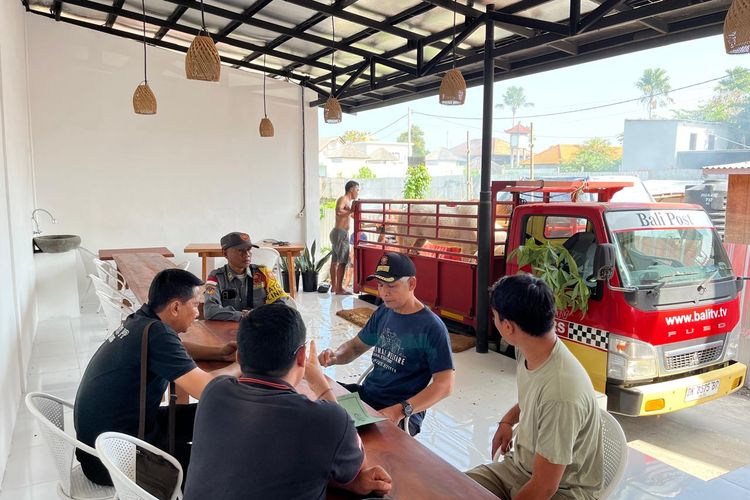 Viral Kuda Putih Kurus Diduga Dieksploitasi di Canggu, Satpol PP Turun Tangan