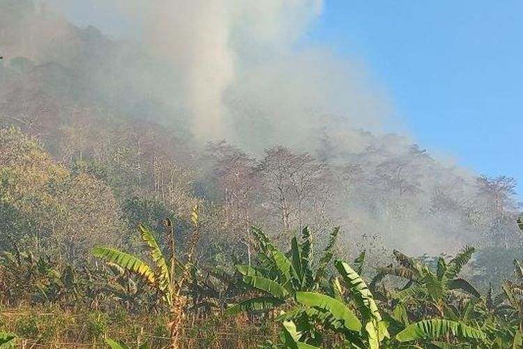 Gunung Jayanti di Sukabumi terbakar, Jumat (22/9/2023). Api semakin membesar dan merembet ke atas gunung di lokasi kebakaran Gunung Jayanti, Palabuhanratu, Sukabumi. Api juga mendekati perumahan Tamansari.

