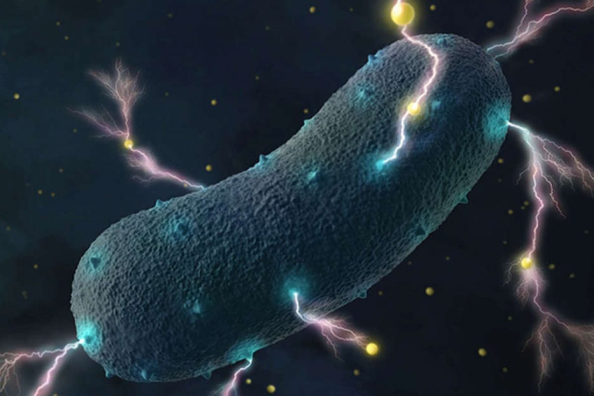Ilustrasi bakteri di perut kita yang sedang menciptakan listrik.