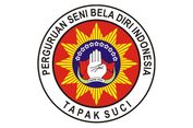 Sejarah Tapak Suci, Organisasi Pencak Silat Muhammadiyah