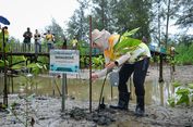 Kendalikan Perubahan Iklim, Otorita IKN Restorasi Pesisir Pantai Tanah Merah