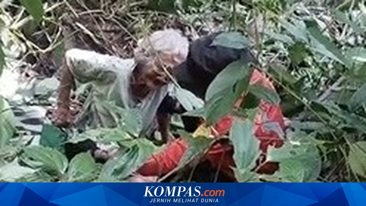 Pikun dan 2 Hari Hilang di Kebun, Nenek 90 Tahun di Luwu Utara Ditemukan Selamat