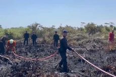 Sepanjang September, Tercatat Ada 7 Karhutla di Bengkulu