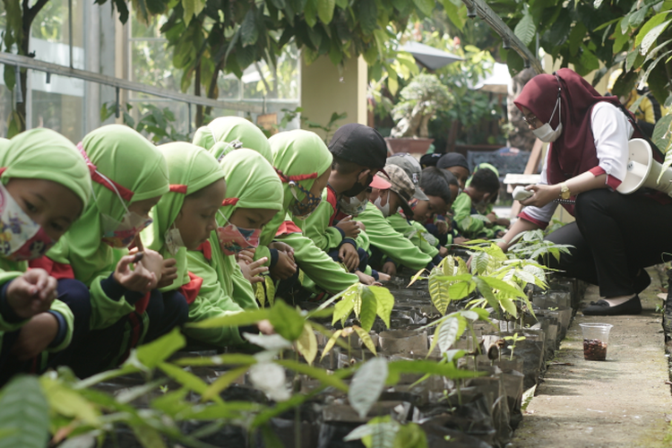 Wisatawan mengenal tumbuhan cokelat di Kampung Coklat Blitar.