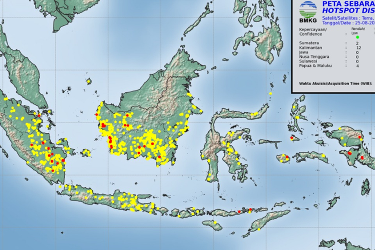 Hotspot Karhutla Hampir Merata di Semua Pulau Indonesia, Kalimantan 3.391 Titik