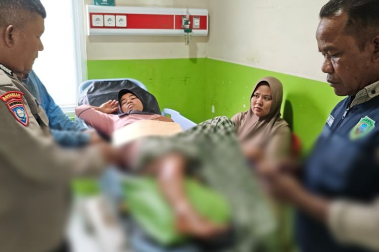 Warga Pasaman Diserang Beruang Saat Sadap Karet, Alami Luka di Kaki