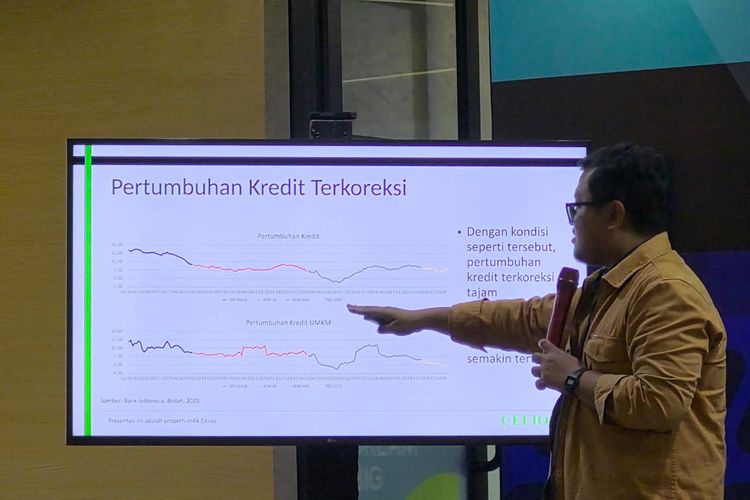 Ekonom Ungkap Penyebab Kredit UMKM Lesu di Kala Kredit Perbankan dan Konsumsi Mulai Pulih