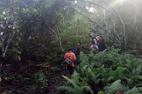 Perjuangan Tim Mengevakuasi 3 Jenazah di Hutan Halmahera, Lewati Medan Berat hingga Perangkap Bambu