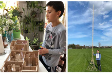 Bocah 12 Tahun Bikin Menara Stik Es Krim Tertinggi di Dunia