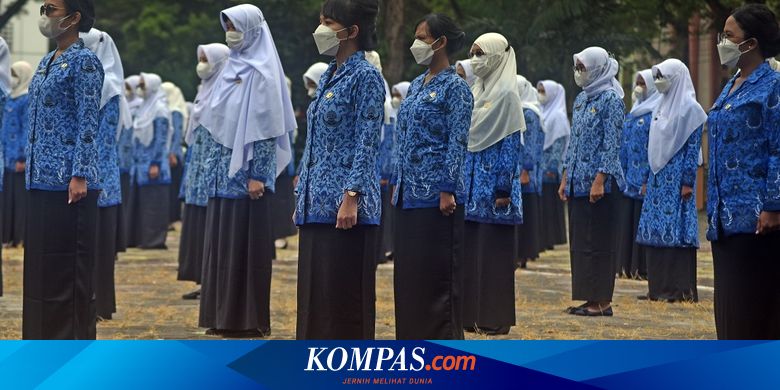 Tenaga Honorer Ditiadakan pada 2023, Ini Syarat Pengangkatan Jadi CPNS