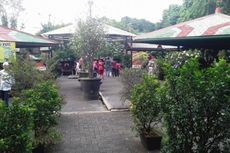 Siapa Sangka, Ini Dia Asal-usul Taman Topi di Bogor