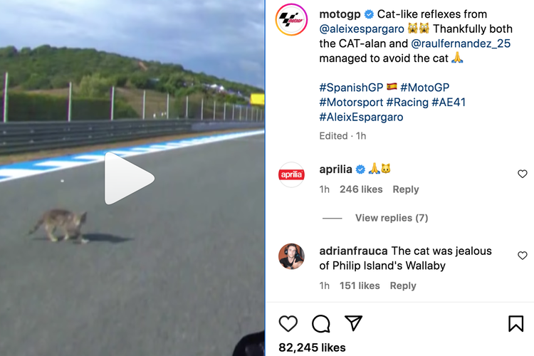 Pebalap MotoGP Aleix Espargaro Hampir Tabrak Kucing