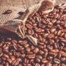 Simpan Kopi dalam Bentuk Biji agar Kesegarannya Tetap Terjaga