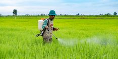 Cegah Alih Fungsi Lahan, Kementan Berikan Insentif Bagi Pemilik Lahan