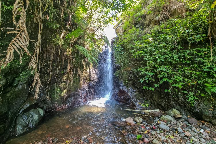 Alasan Air Terjun Semuncar Ditutup untuk Wisata: Sumber Air Warga di Kaki Gunung
