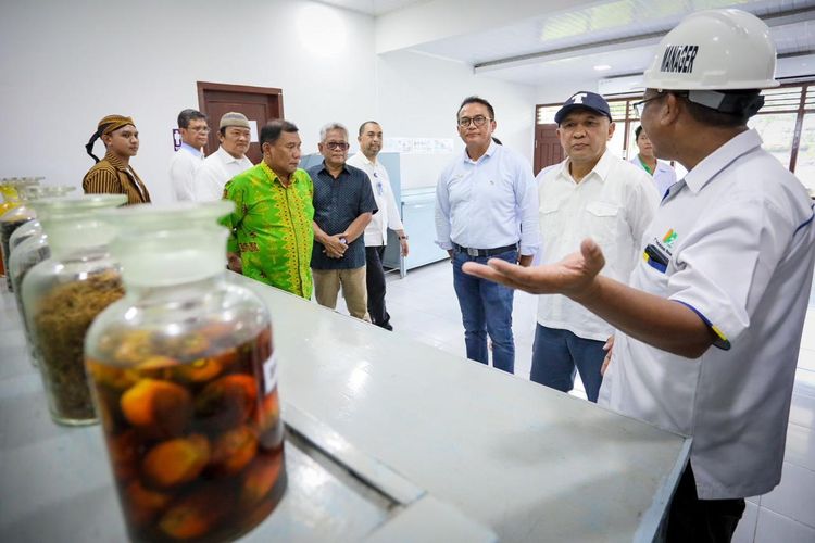 Menteri Koperasi dan UKM (Menkop UKM) Teten Masduki melakukan kunjungan kerja ke pabrik pembuatan minyak merah di Del Serdang, Sumatera Utara, Sabtu (3/12/2022).