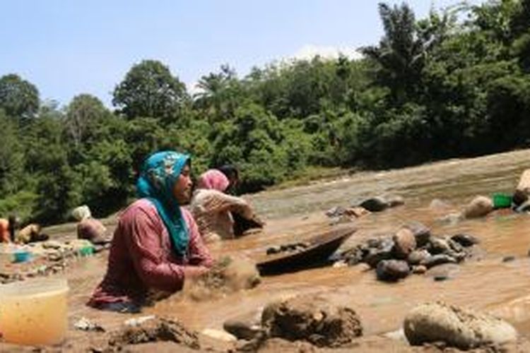 Para perempuan pendulang emas di Sungai Mas, Kabupaten Aceh Barat, tengah berburu biji emas di sepanjang aliran yang ada di Desa Tutut, Kecamatan Sungai Mas.  