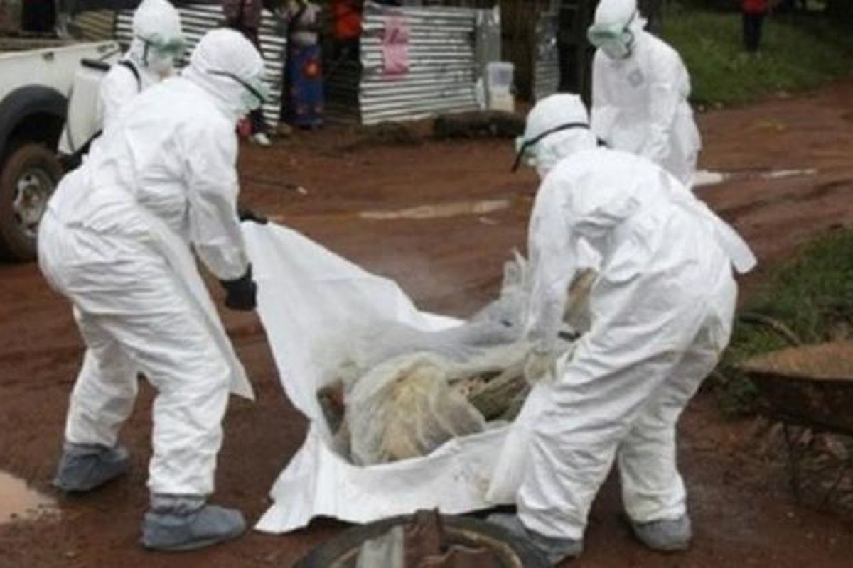 WHO menyatakan status darurat global terkait penyebaran virus ebola