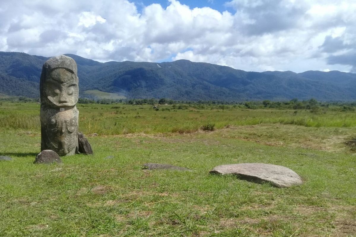 Lembah Behoa yang luas menjadi kawasan cagar budaya megalitik. Banyak tinggalan budaya ini yang terserang mikroorganisme sehingga terancam lapuk dan retak.