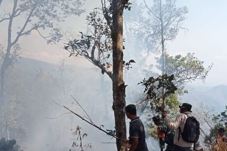 Karhutla terjadi di Lereng Gunung Argopuro yang terletak di Desa Baderan, Kecamatan Sumbermalamg, Kabupaten Situbondo, Provinsi Jawa Timur pada Jumat (13/10/2023).