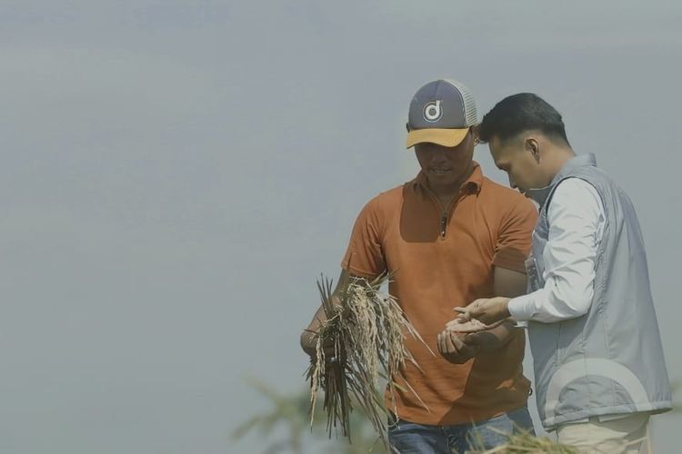 Bulog melakukan penyerapan gabah kering panen melalui petani langsung, kelompok tani, dan gabungan kelompok tani. 