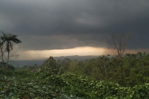 Hujan Angin Landa Sukabumi, Puluhan Rumah dan Pohon Bertumbangan