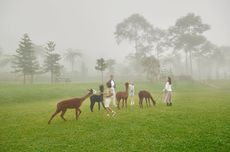 Bali Farm House Buleleng, Bisa Lihat Satwa dari Luar Negeri