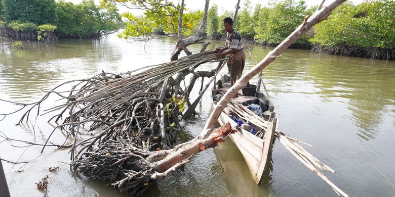 Sazali Sinaga di atas perahunya menyusun batang-batang kayu. Dia mengaku hanya 15 menit di rumah dan selebihnya selama satu harian berada di atas perahu mencari ikan, udang, kepiting di perairan Desa Sei Siur, Kecamatan Pangkalan Susu, Kabupaten Langkat. Menurutnya, pembukaan lahan untuk kebun kelapa sawit berpengaruh pada hasil tangkapannya yang semakin menurun.