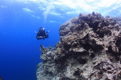 7 Rekomendasi Tempat Wisata Kolaka: Pulau Padamarang hingga Danau Biru