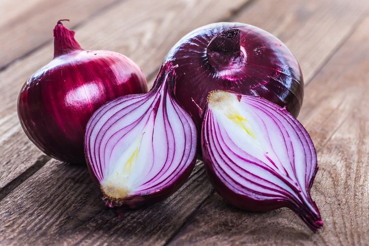 ilustrasi red onion atau bawang bombai merah atau bawang india.