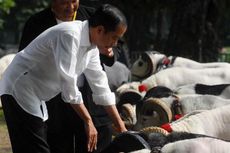 Suara Kambing Mengembik di Istana Presiden