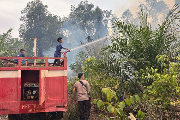3 Hektare Lahan di Bangka Barat Terbakar dan Sebagian Sudah Ditanami Sawit, Polisi Lakukan Penyelidikan
