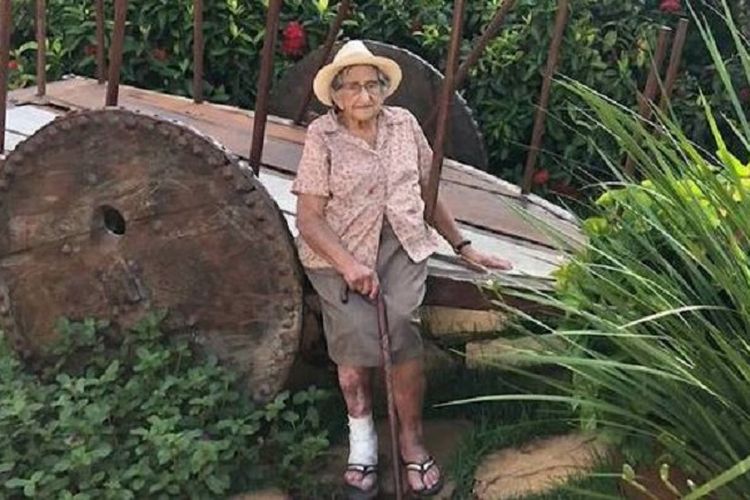 Edna Batista da Cruz, seorang nenek 94 tahun di Brasil. Dia tewas pada Senin (15/2/2021) setelah mobil anaknya tak sengaja menabraknya. Saat insiden, dia baru pulang dari mendapat vaksin Covid-19, di mana mereka berniat berfoto di padang bunga matahari sebagai bentuk perayaan.