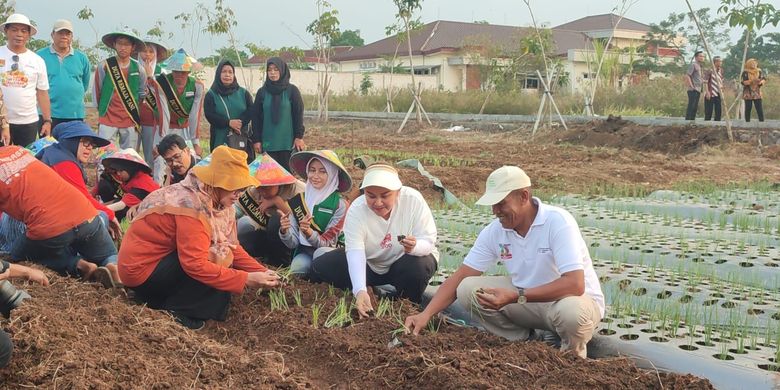 Wali Kota Semarang Hevearita Gunaryanti Rahayu melakukan penanaman komoditas bawang merah unggulan jenis Lokananta di lahan Balai Benih Pertanian (BBP), Kecamatan Mijen, Kamis (12/9/2024).