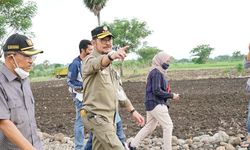 Kementan Maksimalkan Penanaman Jagung di Jeneponto