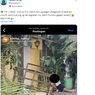 Video Viral, Turis Asing Berbuat Tidak Senonoh di Pinggir Jalan, Polda: Temuan Sementara di Luar Bali