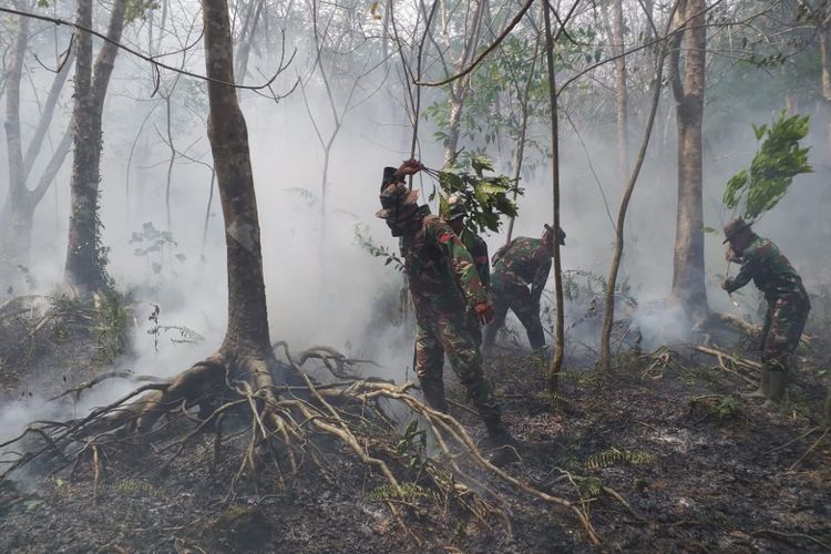 Petugas TNI melakukan pemadaman api kebakaran lahan gambut yang melanda kebun karet warga di Kelurahan Terkul, Kecamatan Rupat, Kabupaten Bengkalis, Riau, dengan menggunakan kayu, Sabtu (23/2/2019). Petugas memadamkan api dengan peralatan seadanya, karena saat itu mesin pompa air terbatas.