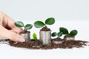 Deloitte Rilis Metode Baru untuk Ukur Nilai Investasi Keberlanjutan